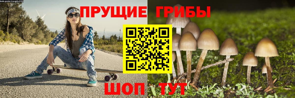 Галлюциногенные грибы Magic Shrooms  где продают   Каспийск  Вход с VPN 